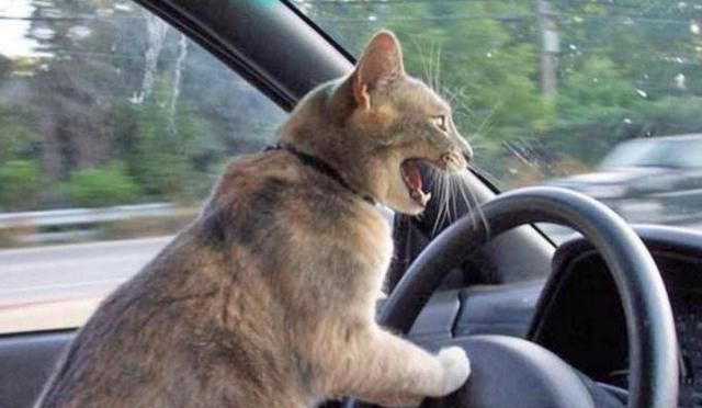 凯发K8官网登录手机版汽车离合器的原理和作用是怎样的？每个开车的人都要知道！